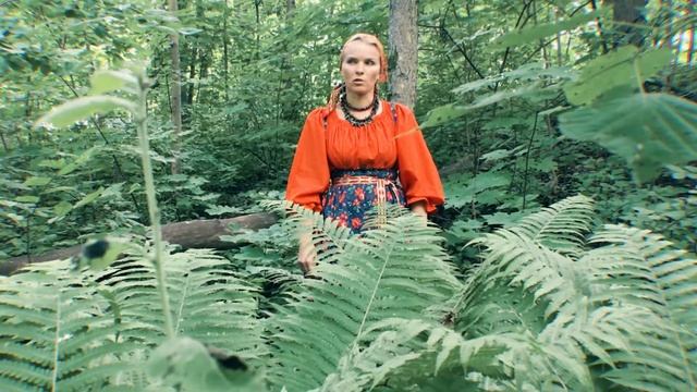 Былички (рассказы о чудесах). Папоротники. смотреть онлайн