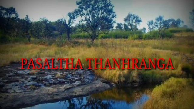 PASALTHA THANHRANGA (BUNG 1 & 2 NA) смотреть онлайн