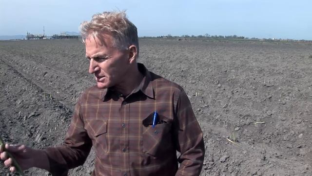 Growing California video series: Delta Delicacy смотреть онлайн