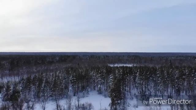 Зимнее ночевание 2019 смотреть онлайн