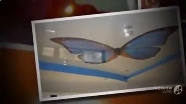 Натяжной_потолок_двухцветный. смотреть онлайн