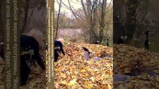 У друзей нет выходных! смотреть онлайн