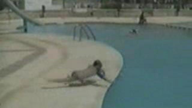 Ребёнок идиот) смотреть онлайн