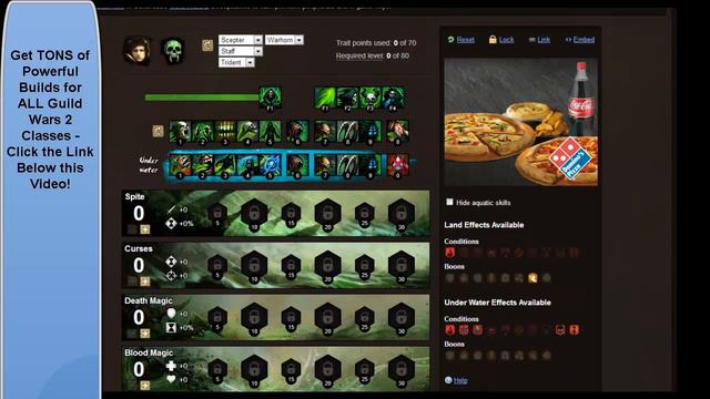 GW2 Necromancer Build For Leveling
