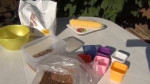 Как вырастить кукурузу от А до Я. Лучший сорт кукурузы.mp4