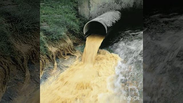 Беседа "Мы-друзья природы" Шалягина А. О смотреть онлайн