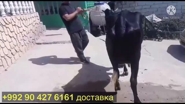 Срочно срочно 6 сентября 2021 г. смотреть онлайн