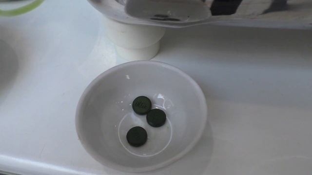 НОВИНКИ ЗОЖ и ПП // VEG LIFE EXPO 2019 весна смотреть онлайн