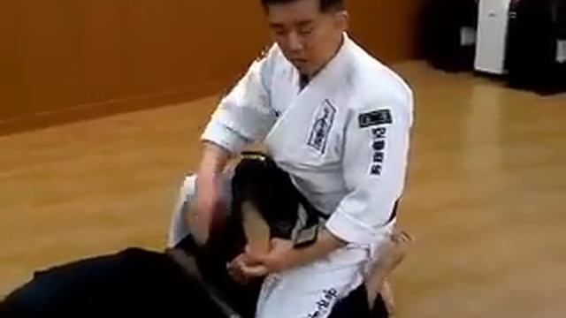 (25)surprise standing Arm Lock (Korea jiu jitsu Hapkido) смотреть онлайн
