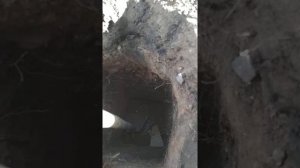 Установка столбов для навеса.