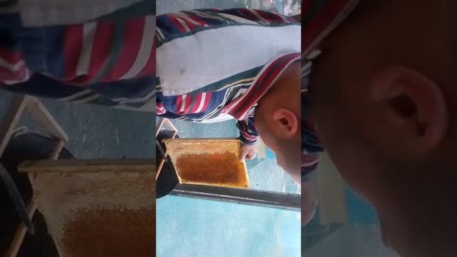 как обрезать рамку с медом перед выкачкой смотреть онлайн