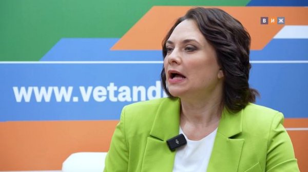 Интервью с Алексеем Ермаковым