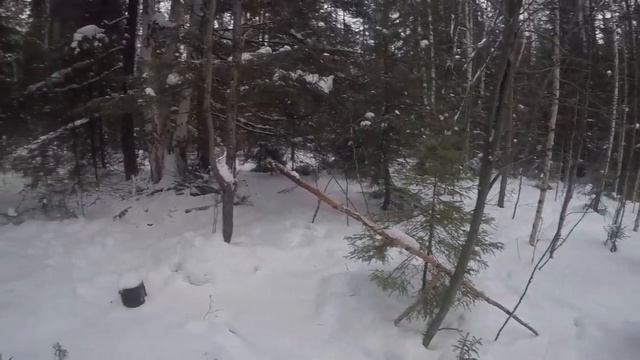 Покатушки на мотобуксировщике Пахус 550МД смотреть онлайн