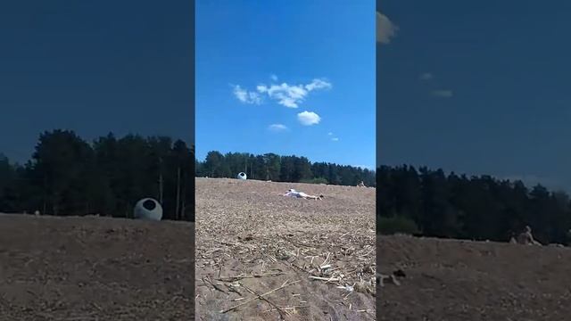 Пляж ласковый Санкт-Петербург смотреть онлайн