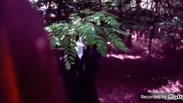 °Все битвы° //баку( 2 часть) ~киры// смотреть онлайн