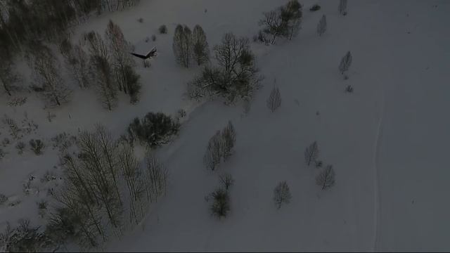 Кормлю мышей. Природа/Семья Фетистова смотреть онлайн