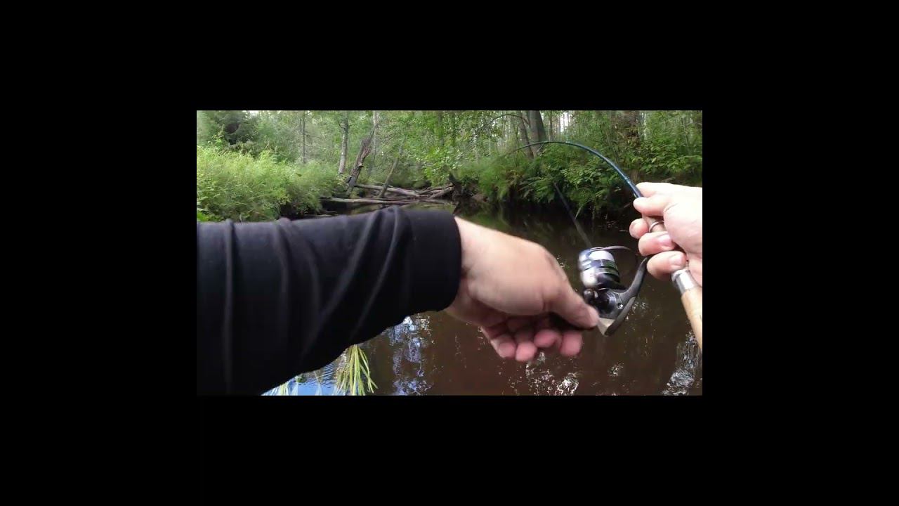 shorts Форель смотреть онлайн