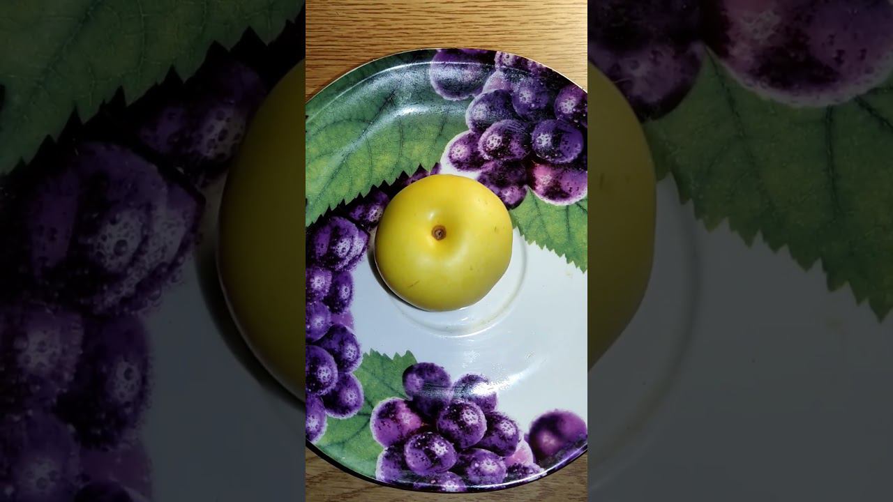 Впервые вижу Уникальный фрукт груша яблоко. Подписывайтесь на Дзен, Рутуб и телеграм.@tutsi-dieti смотреть онлайн