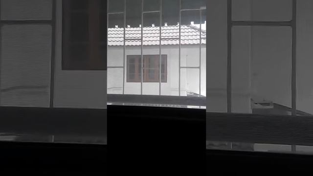 Одна в Тайланд//Тайское свистящее животное смотреть онлайн