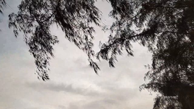 просто цвет заката серо-жёлтый, берег, лодки. пляж танцующей девушки смотреть онлайн