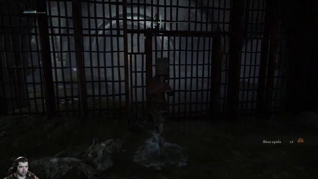 МЕСТО С КАРТЫ ФИИ С КЛАДБИЩЕНСКОЙ ТЕНЬЮ ☠#48☠ Elden Ring смотреть онлайн