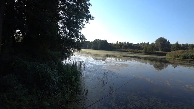 РЫБАЛКА С НОЧЕВКОЙ. ФИДЕР осенью на РЕКЕ! Ловля леща на фидер.