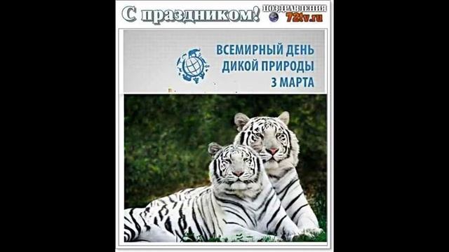 Всемирный День Дикой Природы,День в истории, красивое видео поздравления! 3 марта! смотреть онлайн
