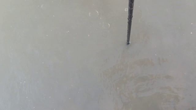 Бешеный клëв чехони на реке Кубань 10. 09.23. смотреть онлайн