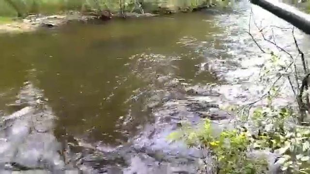 По ДИКИМ местам БУРЯТИИ. В ПОИСКАХ ТРОФЕЙНОГО ХАРИУСА. смотреть онлайн