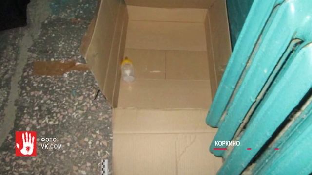 Младенца в картонной коробке нашли в Коркино смотреть онлайн