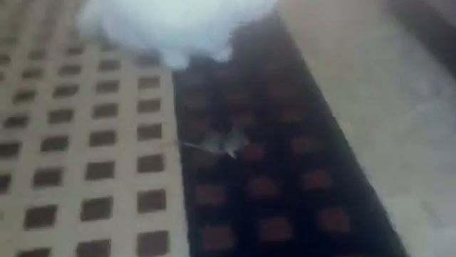 Моя кошка поймала мышь 1 часть смотреть онлайн