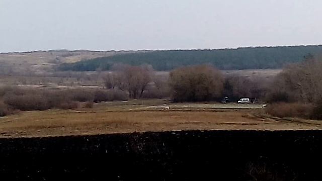 Ермаковский пруд, Котовский р-он, Волгоградская обл. смотреть онлайн