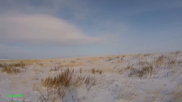 Охота на русака: заЁц взорвался в кадре. МР-94 "Север" 20*76. смотреть онлайн