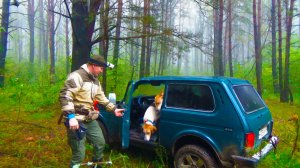 ОТКРЫТИЕ ОХОТЫ С ГОНЧИМИ. НАКОНЕЦ-ТО В ЛЕСУ