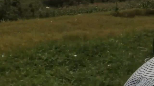 Honda ADV 150 смотреть онлайн