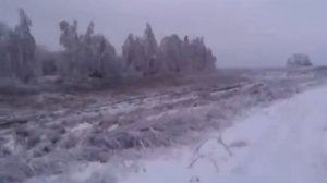 Снегоход Рысь 119