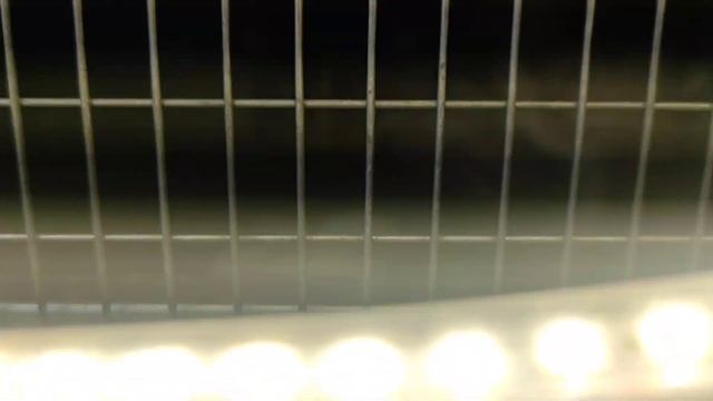 5700 заработала, 5060 потратила на корм. Одному совсем плохо и другой на ногах не стоит. смотреть онлайн