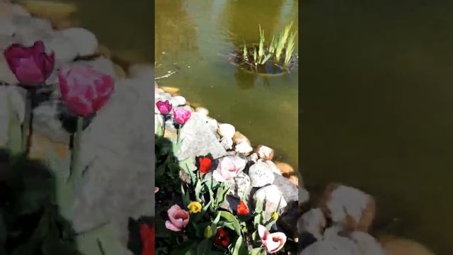 Homes Garden With Gold Fishes