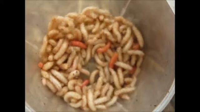 опарыш шейк смотреть онлайн