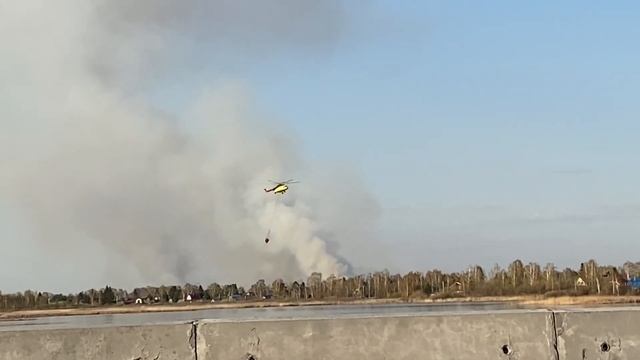 Вертолет Ми-8 тушит лесной пожар смотреть онлайн