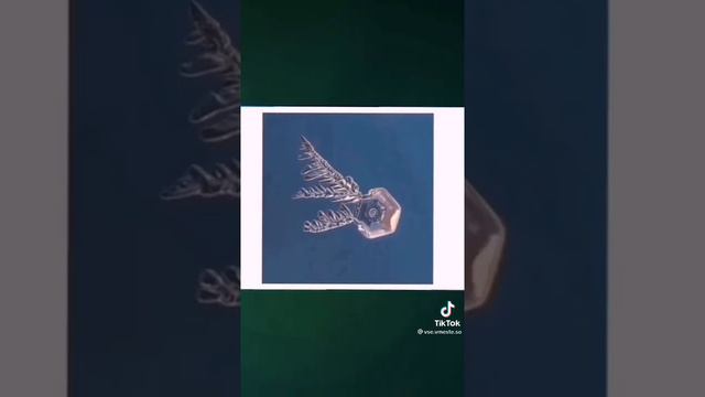 Почему кровь себя так ведёт? смотреть онлайн