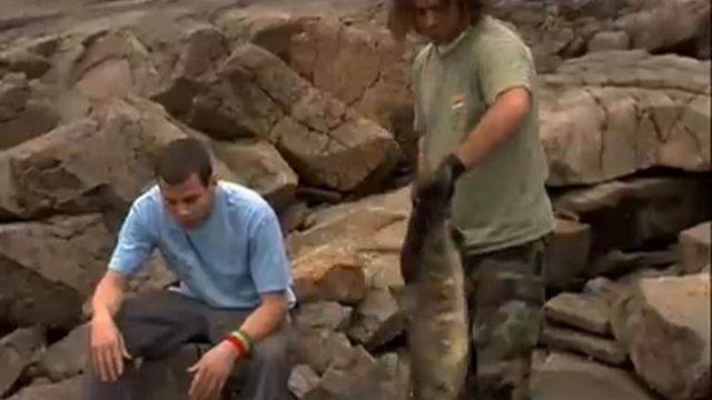 Wildboyz S1 OutTakes смотреть онлайн
