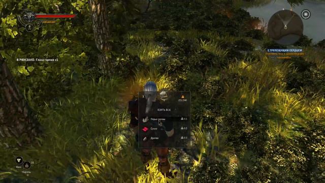 The Witcher 2 ► С трепещущем сердцем ► №14 смотреть онлайн