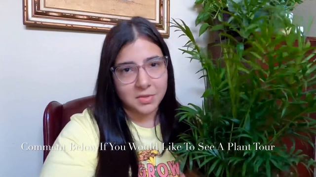 Welcome & Plant Shopping Haul: Hoya, Calathea, Mini Monstera & More Plants смотреть онлайн