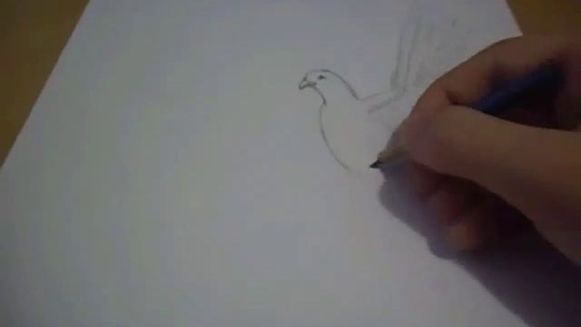 Рисуем голубя. смотреть онлайн