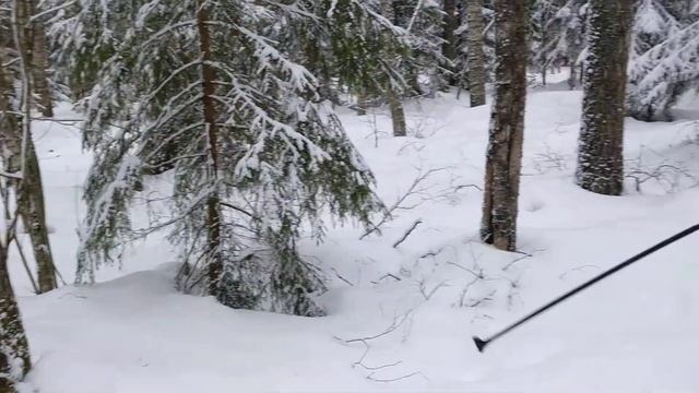 Учусь коньковому ходу смотреть онлайн