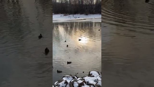 Сегодня ездили в Налоговую, и после такого экстрима, нужен был эмоциональный отдых смотреть онлайн