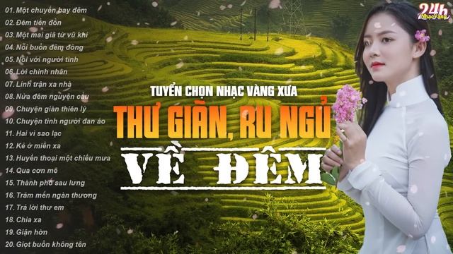 LIÊN KHÚC NHẠC VÀNG Xưa Trữ Tình THƯ GIÃN Ru Ngủ Về Đêm ? Tình Ca Nhạc Vàng Bất Hủ Hay Nhất 2024 смотреть онлайн