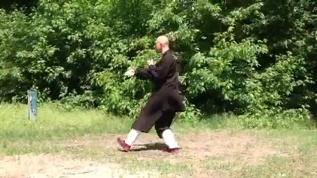 13 форм удан тайцзи смотреть онлайн