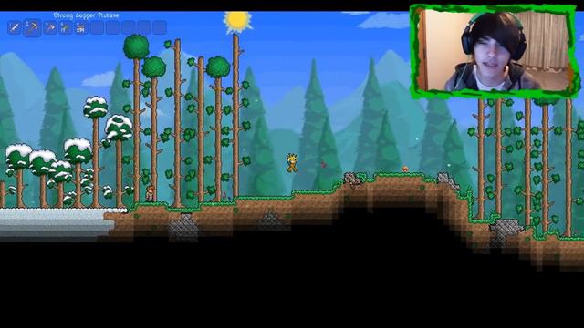 Pokétree! - Terraria Highlights смотреть онлайн